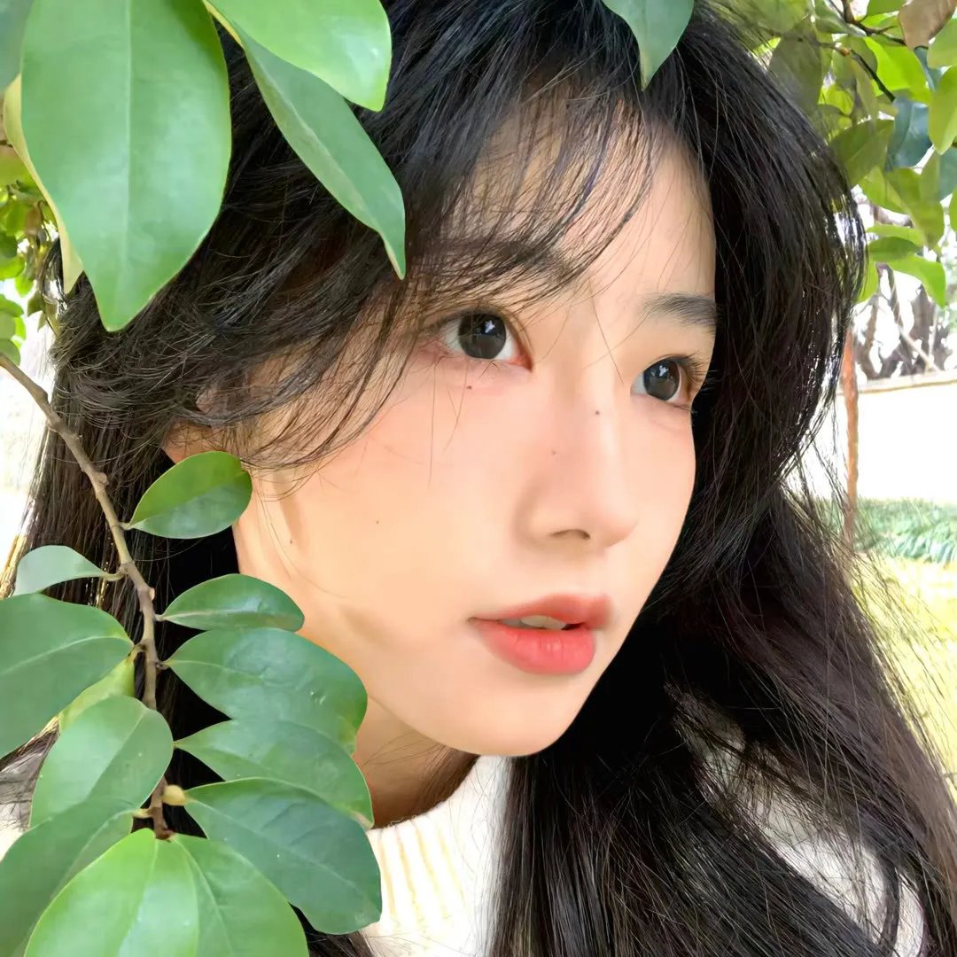 卧底羔羊